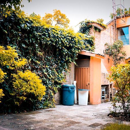 Suites Cuija Coyoacan Mexico City Exteriör bild
