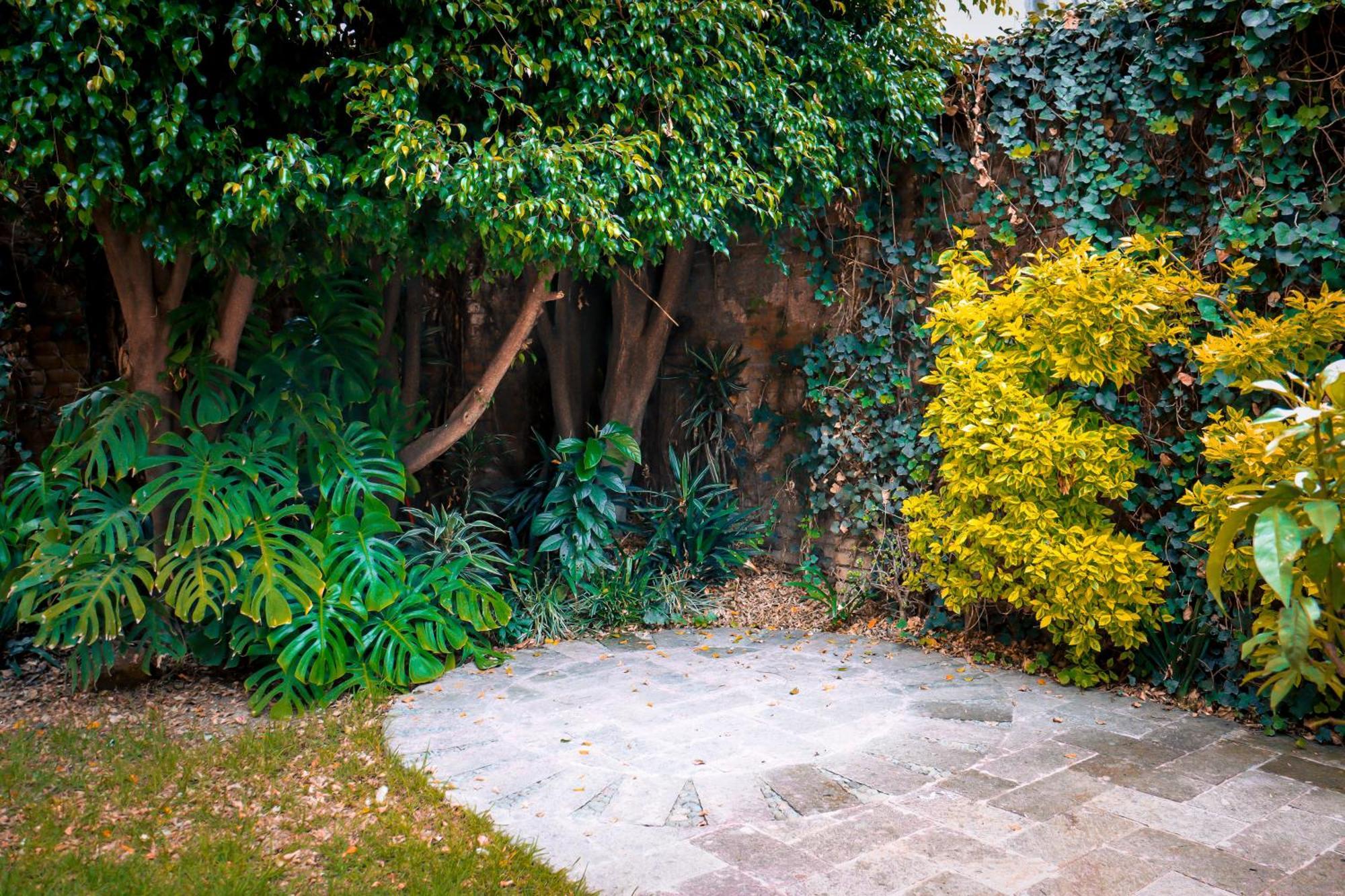 Suites Cuija Coyoacan Mexico City Exteriör bild
